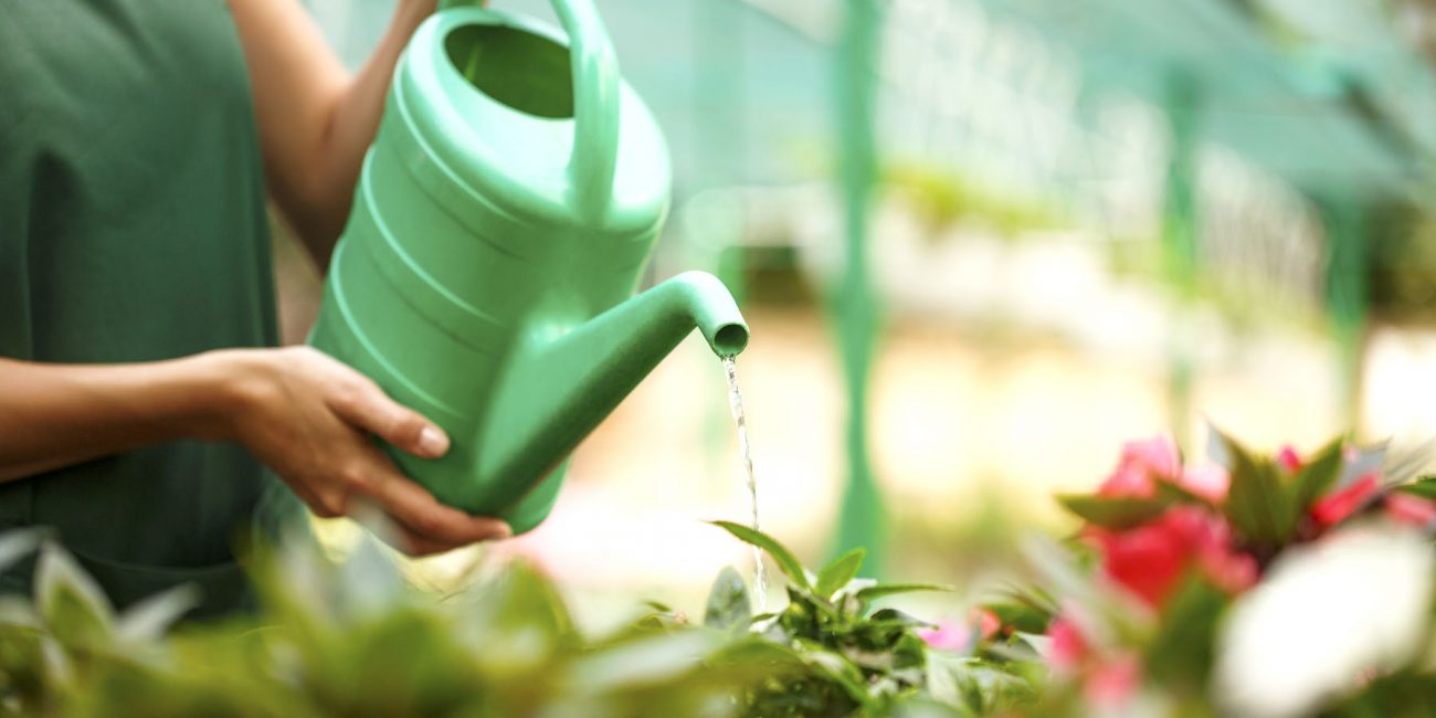 Conservación de agua